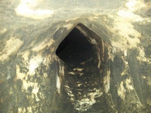 Buckhurst Hill Chimney Sweep