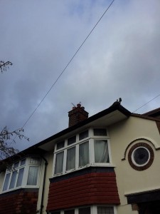 Chimney 5