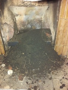 Chimney 6