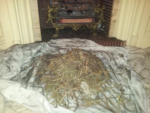 Chimney sweep in Theydon Bois