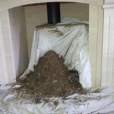 Chimney sweep near Epping
