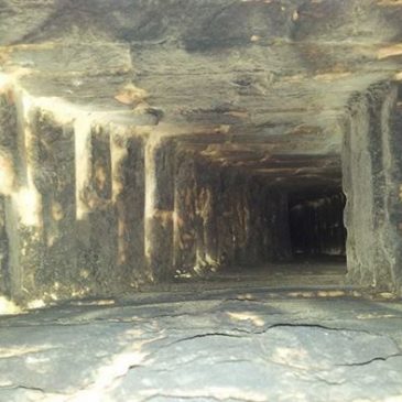 Chimney sweep in Wanstead