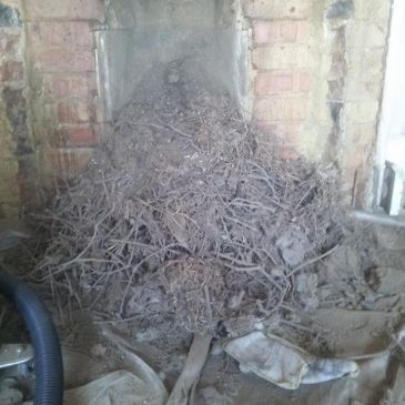 Chimney sweep in Loughton Essex