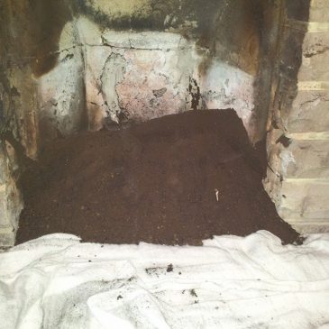 Epping chimney sweep